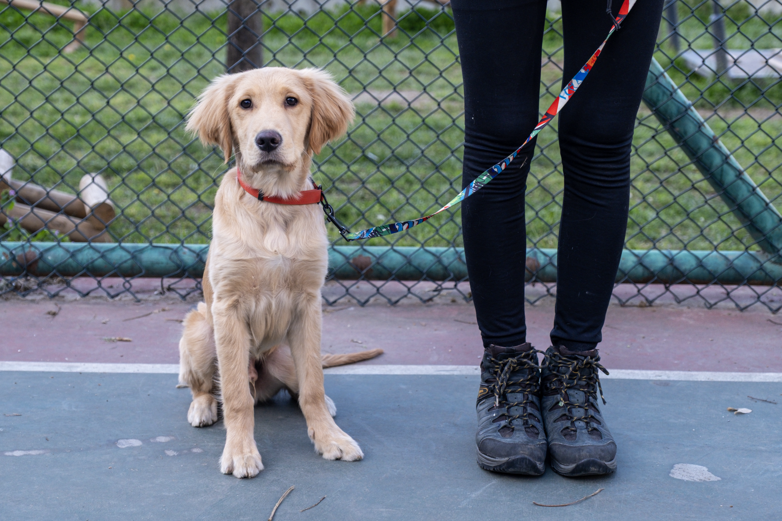 Şehir içinde yanında yürüyüş ve karşılaşma protokolleri uygulaması