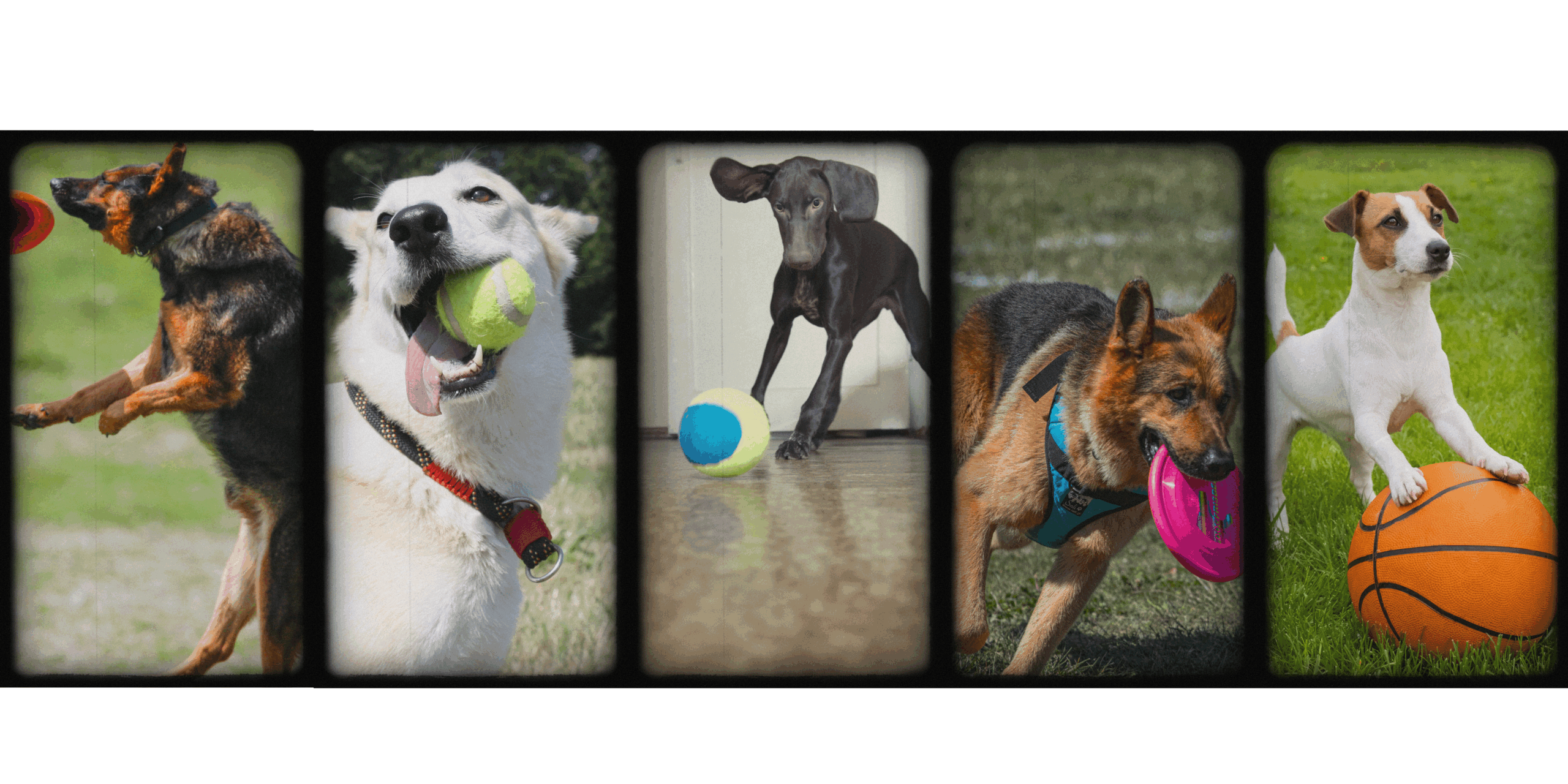 Oyun temelli ileri itaat – motivasyonla odak geliştirme