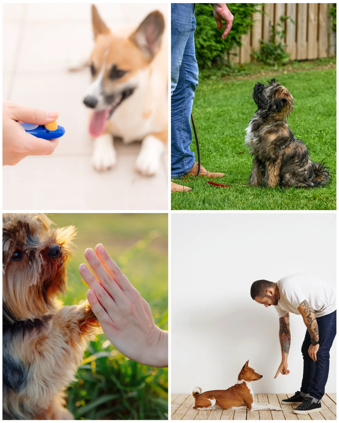 Temel İtaat Eğitimi